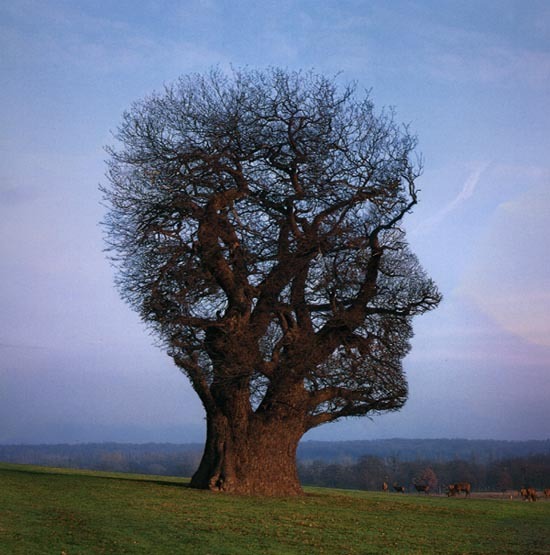 Make Sure Your Thoughts Align With Reality