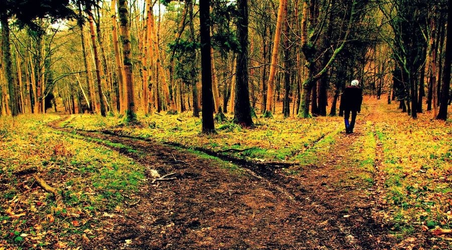 Don’t Feel Too Much Pressure to Find God’s Will