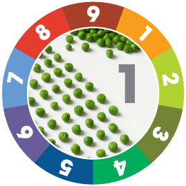 A Day in the Life of an Enneagram 1: Monica M.